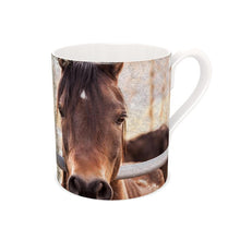 Load image into Gallery viewer, Two Brown Horses Looking Out Over The Rail Bone China Mug
